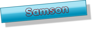 Samson       Samson       Samson